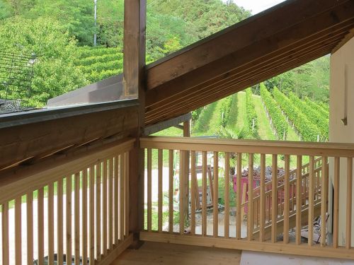 Balkon in Lärchenholz